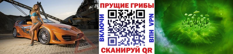 Галлюциногенные грибы Psilocybe  Купить закладки  Тайшет 