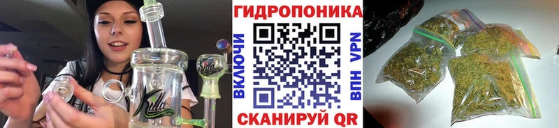 Купить где  Тайшет  Бошки Шишки конопля 